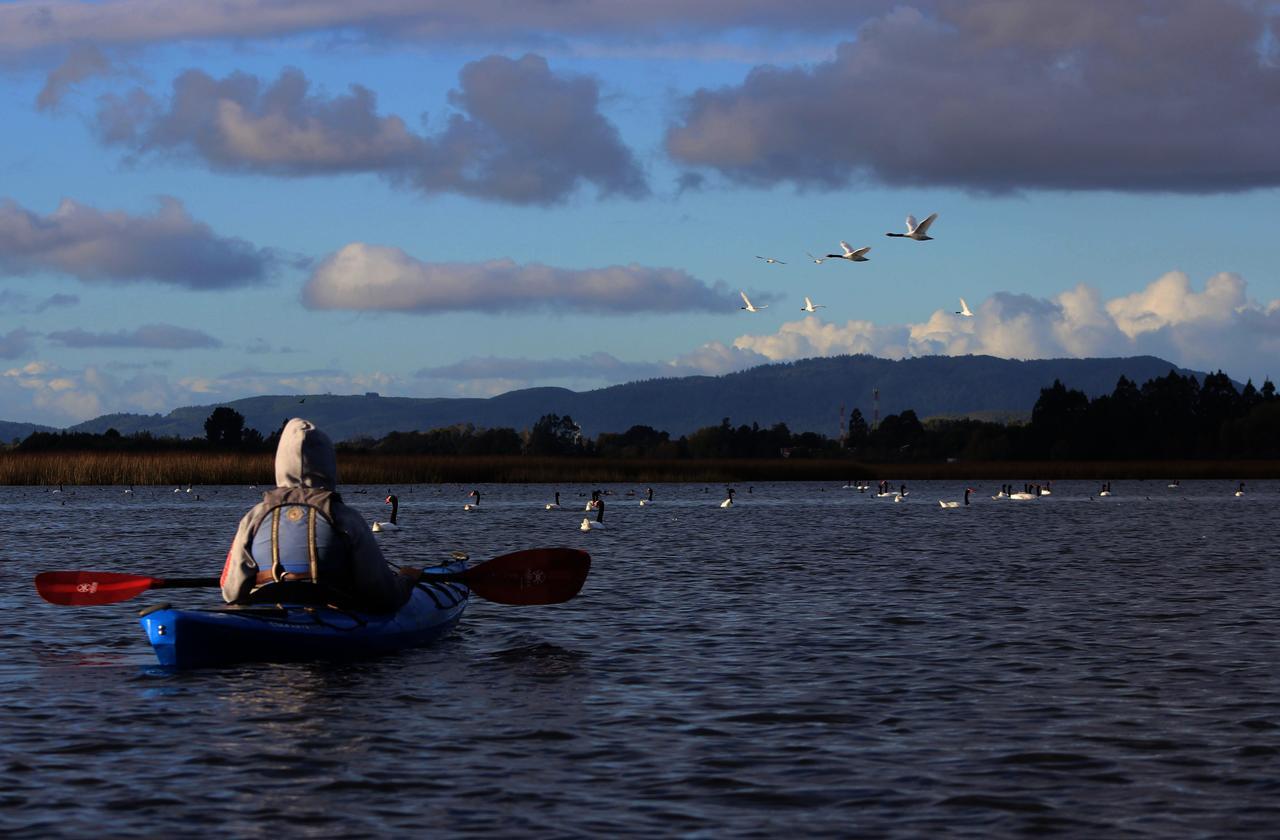 Casa Rio Vivo Villa Valdivia Buitenkant foto